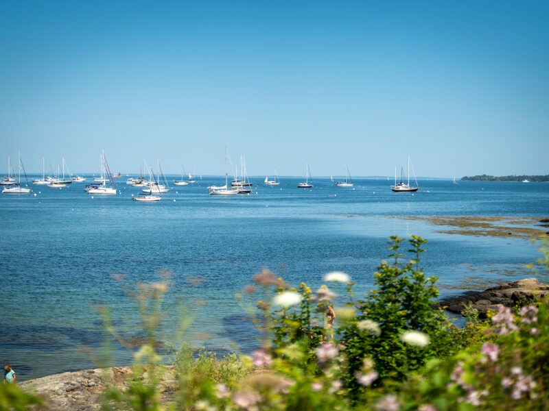 Rockland Harbor Trail