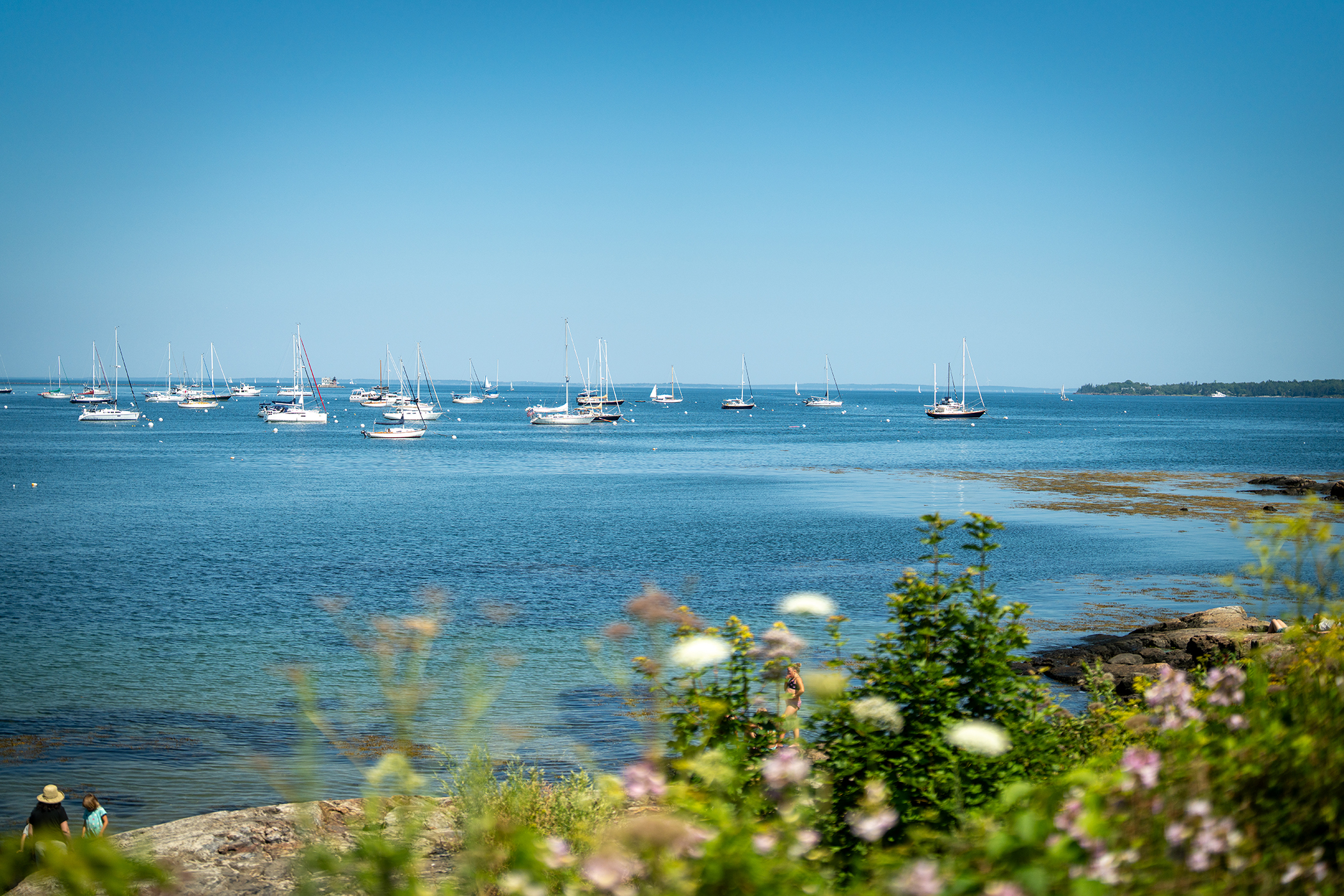 Rockland Harbor Trail